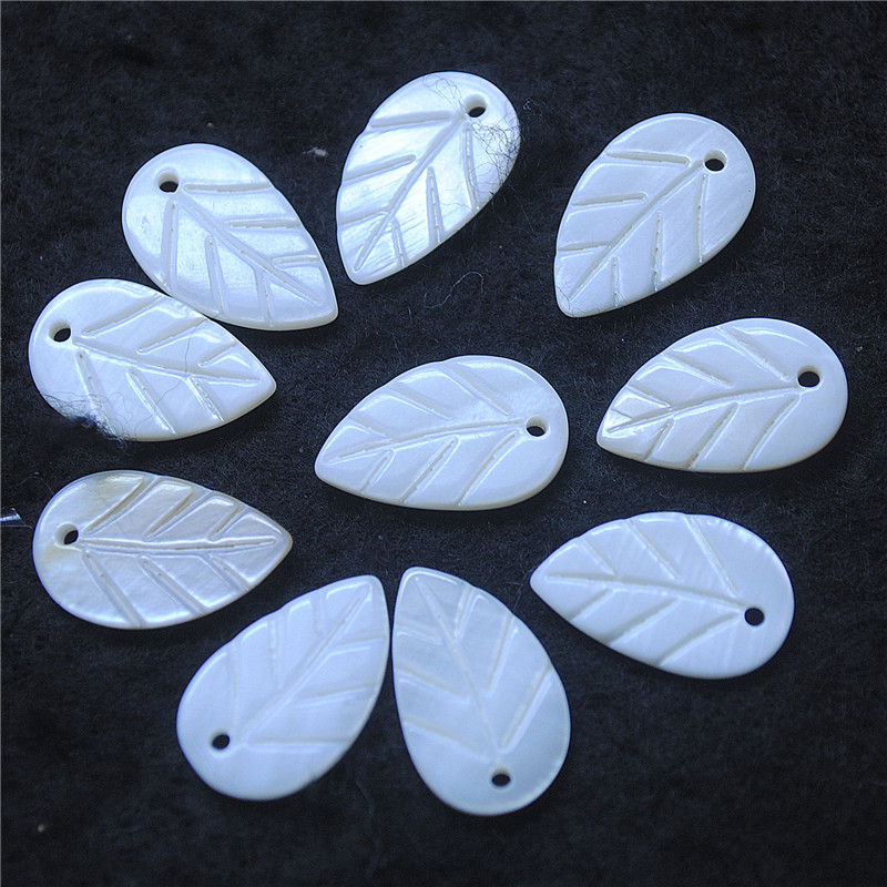 30PCS White Shell Leaf Shape 8 - Women Fashion Nz recensie en prijs