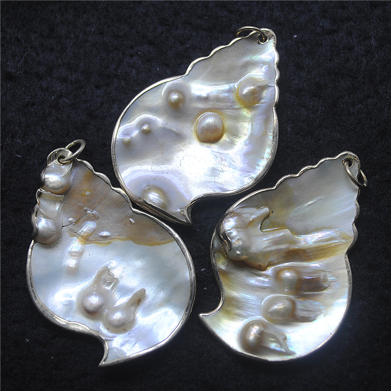 3PCS Nature Shell Pendants Mot - Women Fashion Nz recensie en prijs
