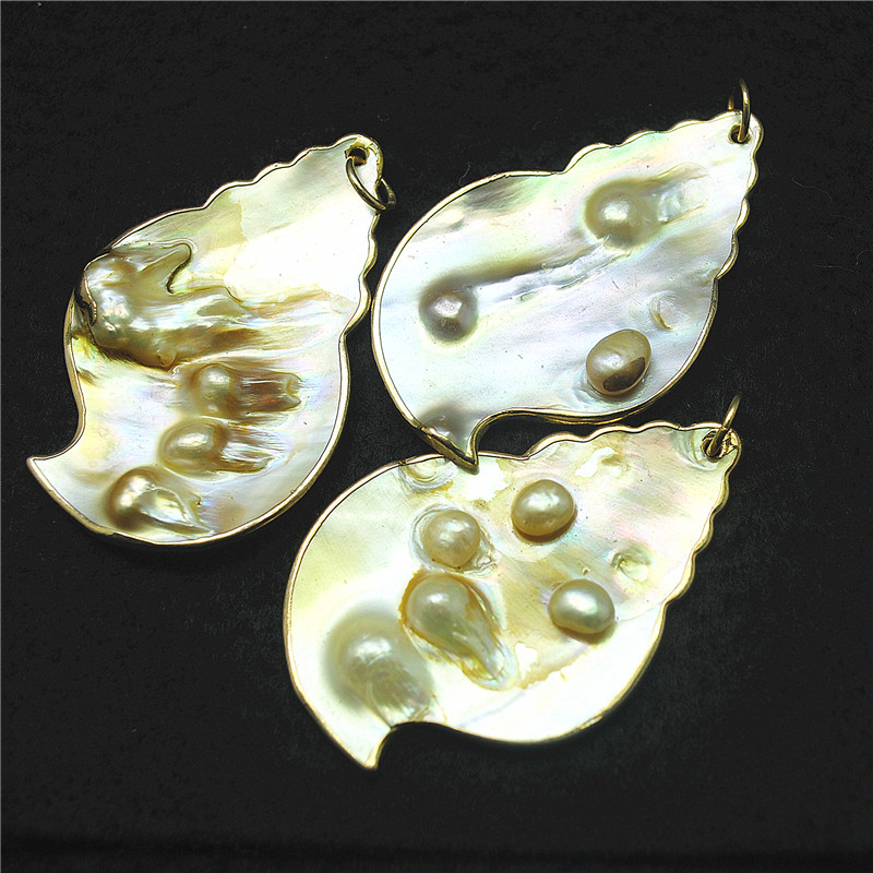 3PCS Nature Shell Pendants Mot - Women Fashion Nz recensie en prijs